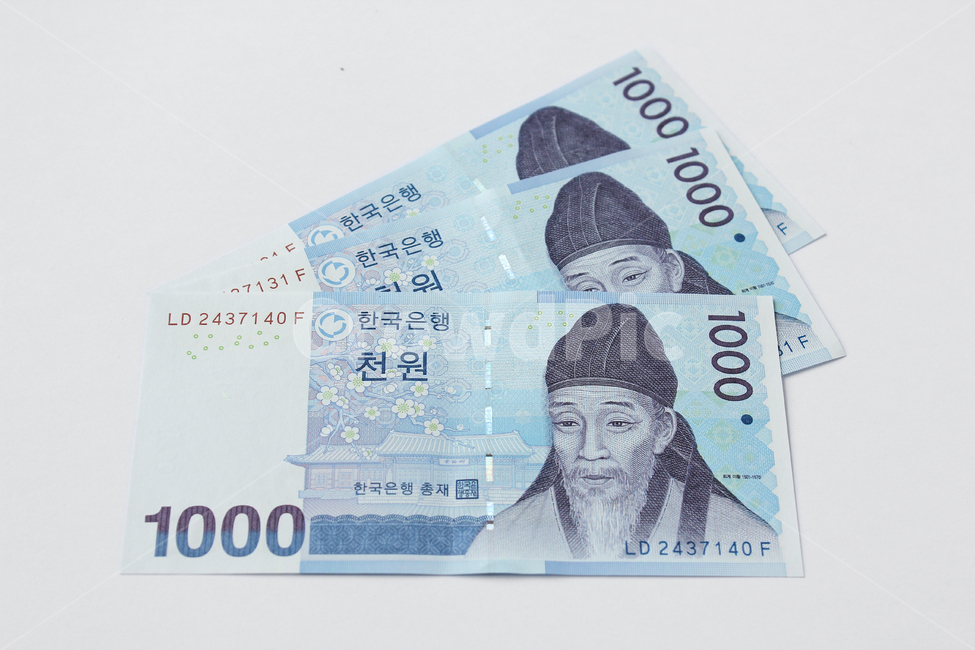 돈,지폐,종이돈,머니,금융,경제,흰배경,천원,1000,1000원,한국,대한민국,화폐,앞면,펼쳐놓은,금융,돈,finance,banking,money,누끼,remove background