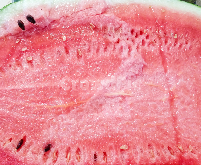 plant,식물,food,식품,fruit,과일,watermelon,수박,summer,여름,과일,열매,fruit