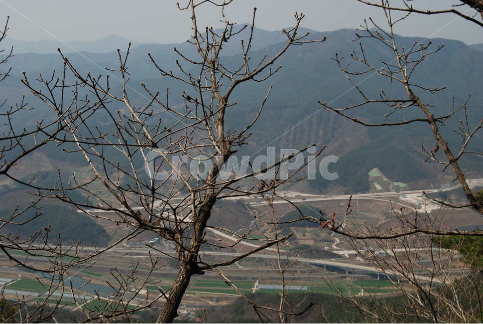 오산,둥주리봉,휴양숲,구례,공원,자연,풍경,nature,landscape,한국자연풍경,한국자연경관,korea nature landscape,식물,plants,나무,trees,wood