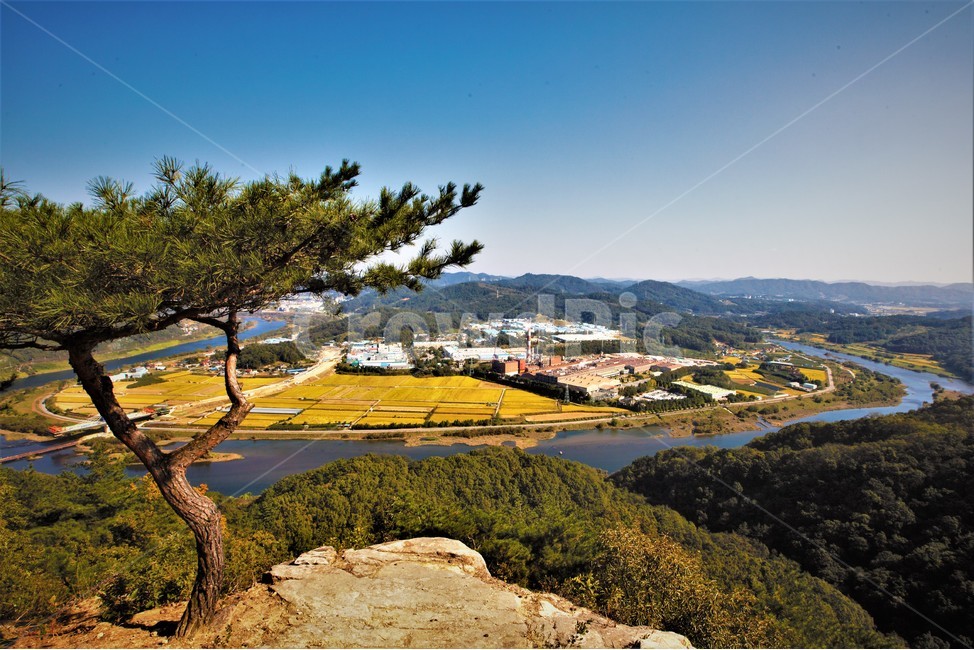 풍경,자연,나무,경치,옥외