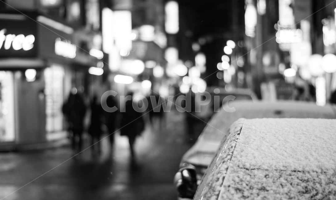 겨울,눈,풍경,거리,길거리,대학로,흑백사진,사람,보행자,winter,snow,landscape,street,person,human,겨울,계절,winter,season