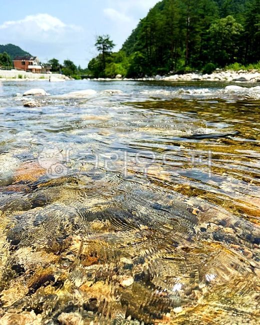 소금강,오대산,계곡,자연,여름,풍경,자연경관,water,outdoors,nature