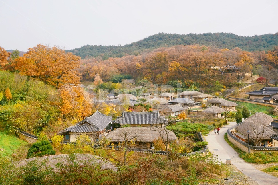 풍경,양동마을,단풍,기와집,초가집,가을,계절,fall,autumn,season,nature,자연,outdoors,옥외,scenery,landscape,경치