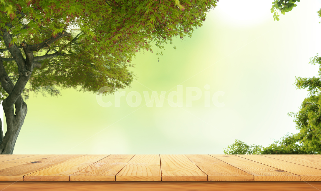 테이블,탁자,나무테이블,데크,나무,여름,계절,배경,백그라운드,식물,자연,plants,nature