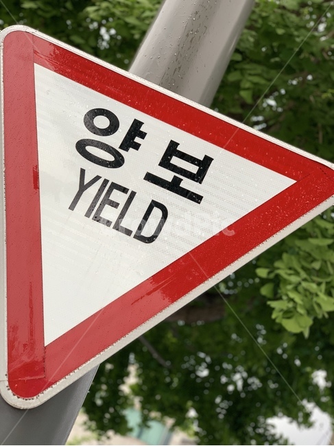 양보,yield,빨간색,흰색,중요한