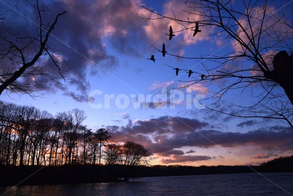 burkelake,virginia,저녁,호수,dusk,황혼,자연,풍경,nature,landscape,outdoors,옥외