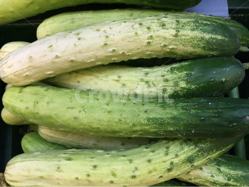 오이,야채,채소,식재료,식물,음식,식재료,요리,food,cook,meal,dishes,food reserves,채소,야채,vegetables
