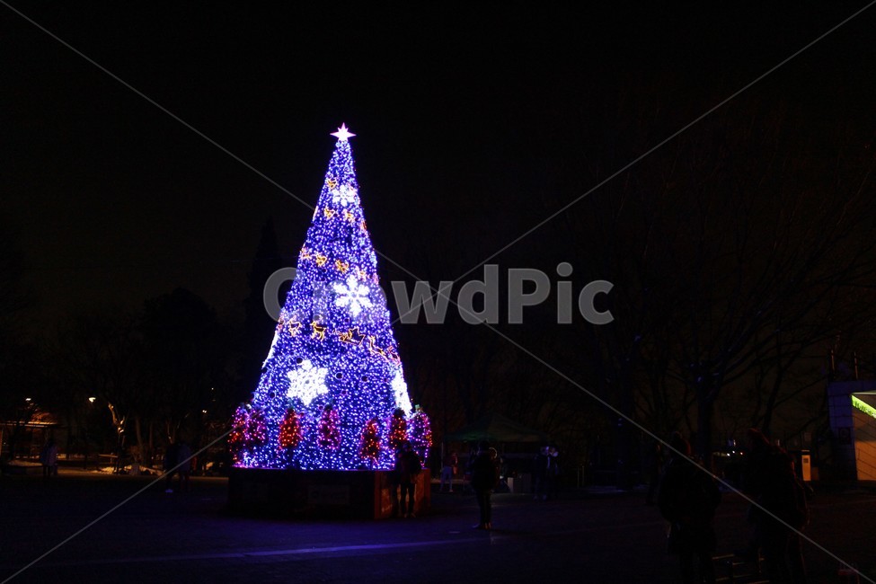 크리스마스,트리,크리스마스트리,성탄절,루미나리에,빛축제,메리크리스마스,성탄절,merry christmas