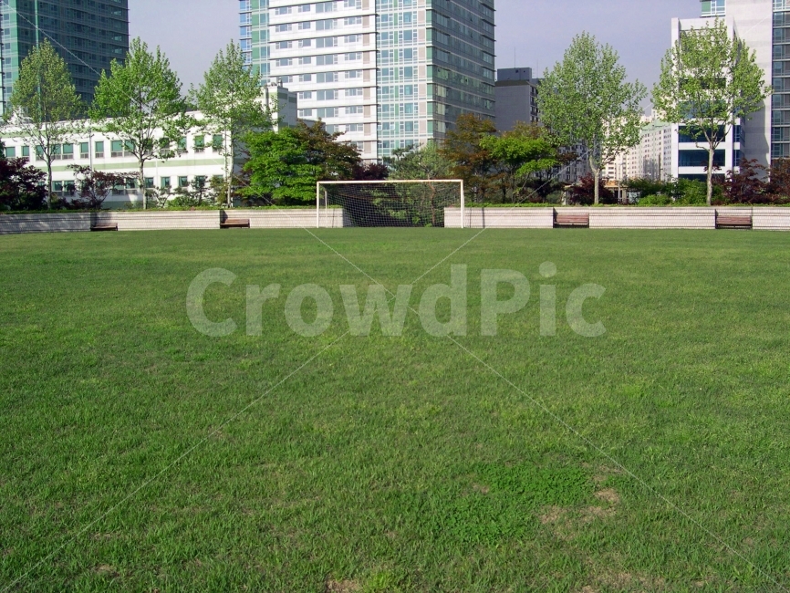 운동장,잔디,축구장,공원,아파트,도시,풍경,city,landscape,grass,plant,식물,lawn