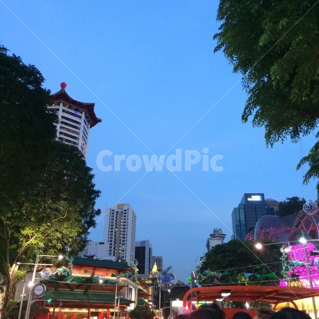싱가포르,오차드,거리,풍경,가로등,야경,밤,풍경,nightscape,night,landscape,도시,city