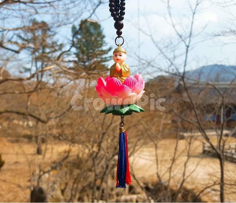 연꽃,절,사찰,동자스님,동자승,가을,가을풍경,염주,묵주,종교,신앙,religion,belief,faith,사물,물건,오브젝트,thing,object,matter