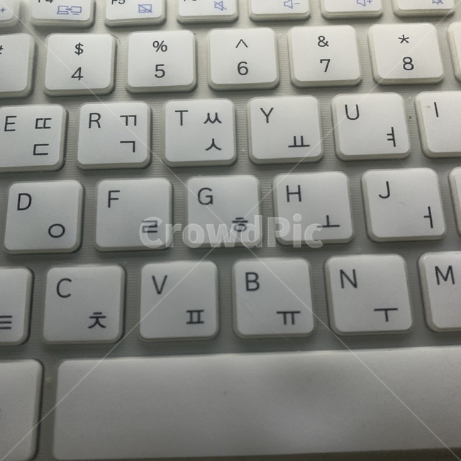 노트북키보드,키보드,자판기,흰색,화이트