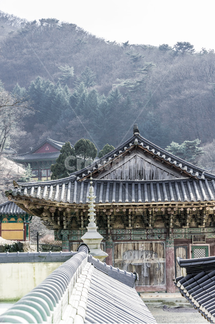 사찰,문화유산,선,건축,석탑,한국전통,한국문화,korean traditional,korean culture,종교,신앙,religion,belief,faith,건축물,건물외관,exterior,building,structure,architecture,construction
