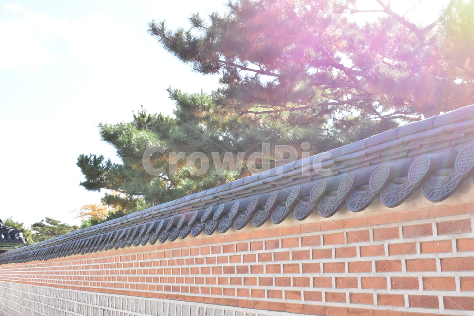 빛,햍빛,자연,돌담,나무,한국전통,한국문화,korean traditional,korean culture,건축물,건물외관,exterior,building,structure,architecture,construction