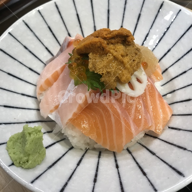 연어덮밥,연어동,연어,회덮밥,일식,덮밥,스시,회,음식,식재료,요리,food,cook,meal,dishes,food reserves,일식,일본음식,일본요리,Japanese food,Japanese dishes,Japanese meal,Japanese cook