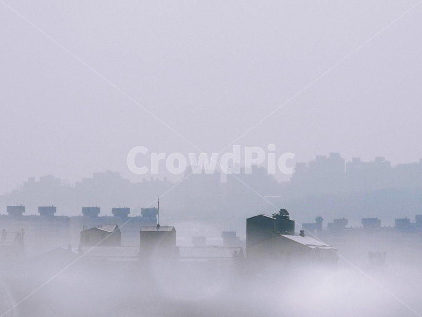 겨울아침,겨울안개,눈내린후,자연,nature,도시,풍경,city,landscape