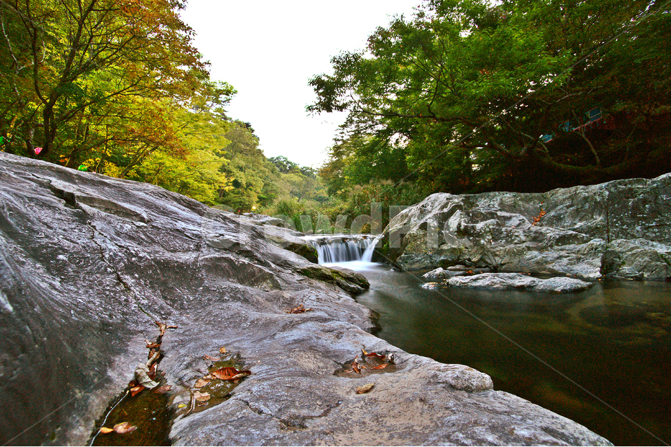계곡,급류,폭포,여울,가을,자연,자연,풍경,nature,landscape,water,물,outdoors,옥외,stream,흐름,creek,작은 만