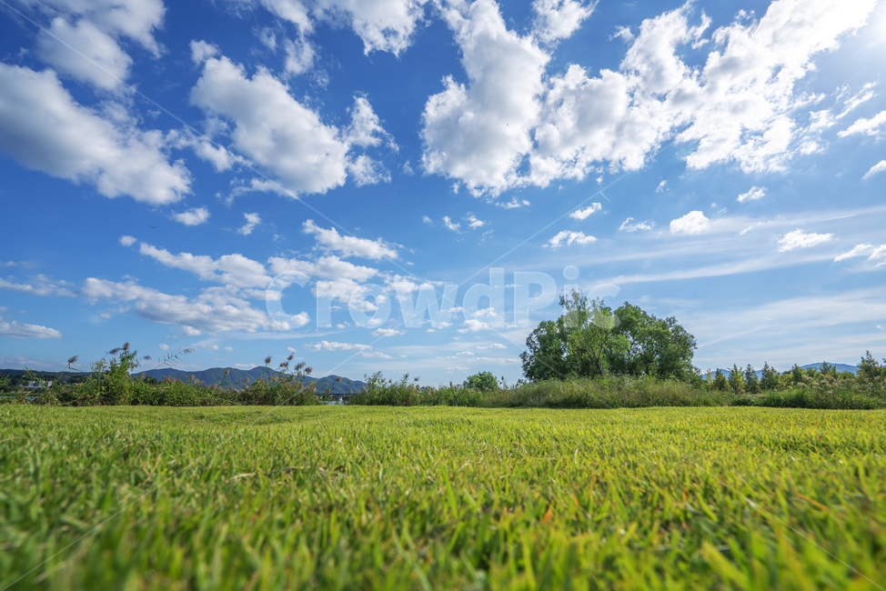 하늘,구름,풍경,자연,가을풍경,자연,풍경,nature,landscape,한국자연풍경,한국자연경관,korea nature landscape,field,들,grassland,목초지,outdoors,옥외
