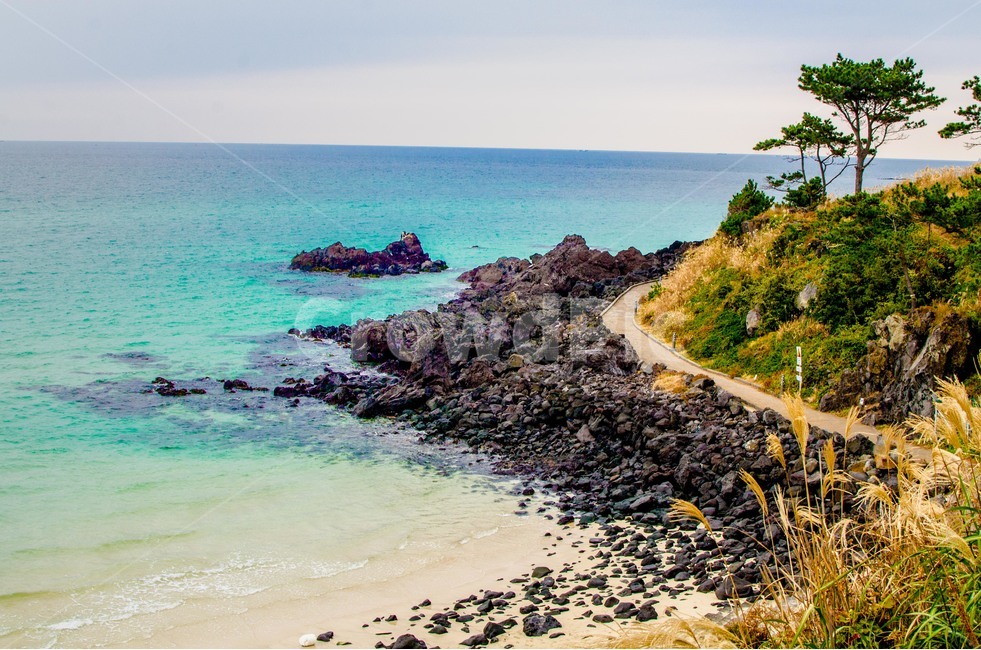 바다,제주도,길,자연,푸른바다,나무,해변가,돌,자연,풍경,nature,landscape,한국자연풍경,한국자연경관,korea nature landscape,해변,바다,beach,sea,제주도,jeju,jeju island,promontory,곶