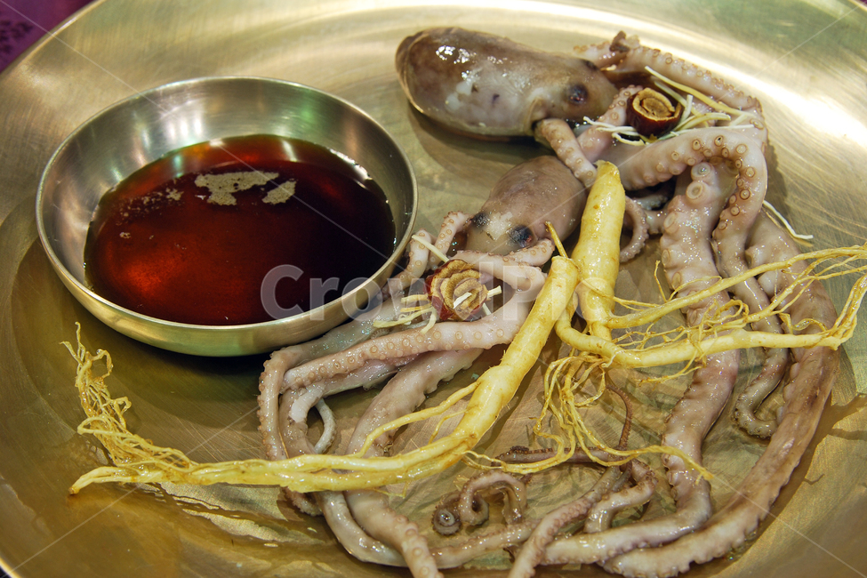 낙지,숙회,낙지숙회,인삼,간장,소스,해산물,해물,수산물,신선한,싱싱한,보양식,건강,건강식,음식,요리,한식,한국,한국음식,연체동물,씨푸드,문어과,음식,식재료,요리,food,cook,meal,dishes,food reserves