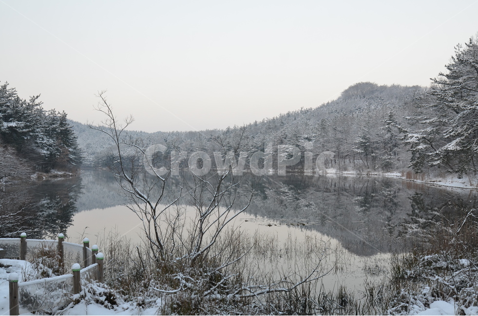 군산,월명,눈,겨울,풍경,겨울,계절,winter,season,자연,풍경,nature,landscape,한국자연풍경,한국자연경관,korea nature landscape,outdoors,옥외