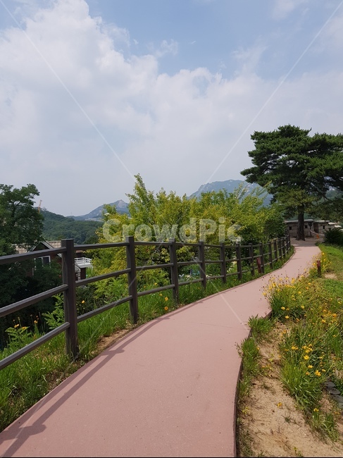 handrail,banister,옥외,굽은길,언덕,풍경