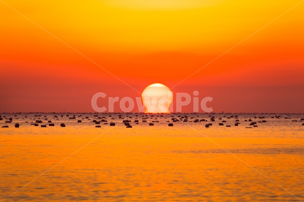 오메가일출,오여사,자연,풍경,바닷가,자연,풍경,nature,landscape,outdoors,옥외,dawn,새벽,sunset,일몰,red sky,붉은 하늘,sky,하늘,dusk,황혼,sunlight,햇빛