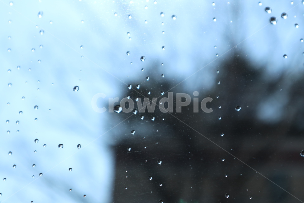 이슬,창가,물방울,비,빗물,작은물방울,droplet