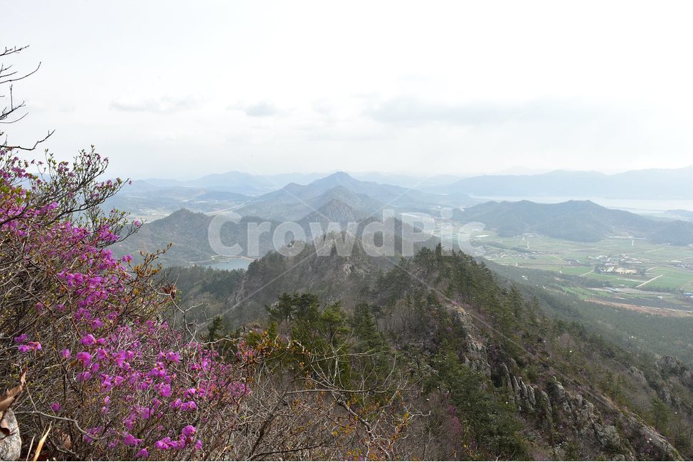 주작산,덕룡산,종주,진달래,풍경,기암,바위,비경,봄풍경,진달래꽃,강진,명산,산행,등산,마운틴,힐링,mountain,landscape,자연,natural,봄,계절,spring,season,자연,풍경,nature,landscape,한국자연풍경,한국자연경관,korea nature landscape,outdoors,옥외