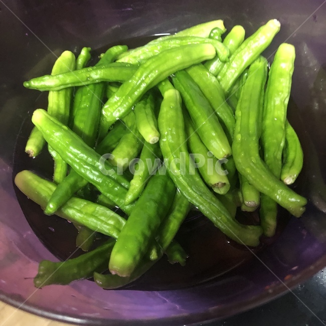 고추,반찬,음식,food,꽈리고추,식물,요리