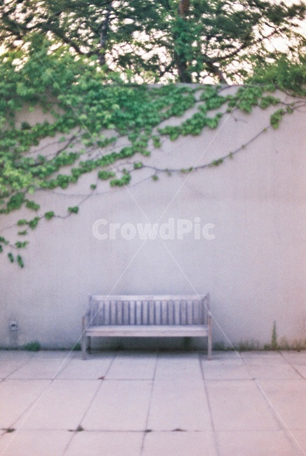 벤치,공원,덩굴,벽,bench,park,wall,creeper,감성,sensible,feeling,휴식,힐링,rest,relaxation,healing
