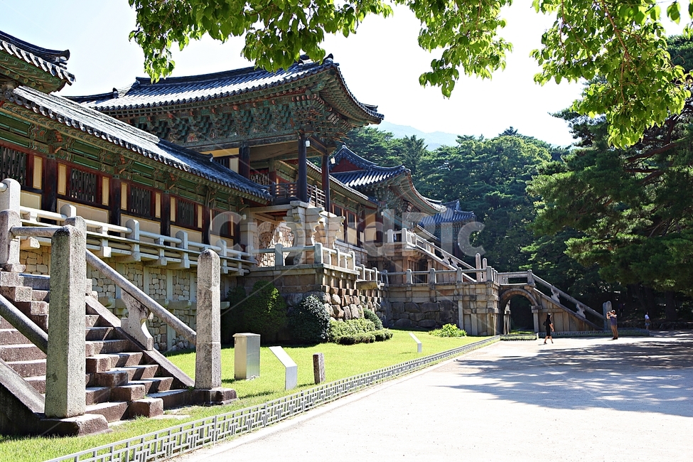 불국사,경주,절,사찰,국보,보물,전통,기와집,집,한옥