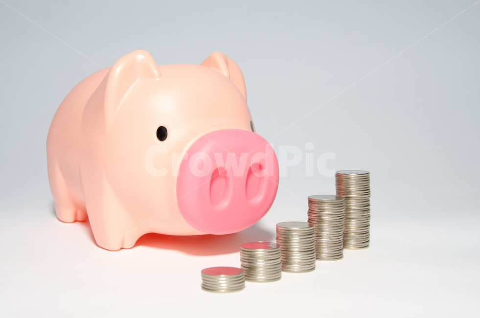 비즈니스,금융,동전,돼지저금통,투자,은행,돼지저금통,현금,통화,수입,경제,펀드,성장,돈,돼지,분홍색,이익,보안,재산,컨셉,안전,수익,기쁨,만족,한국,한국동전,금융,돈,finance,banking,money