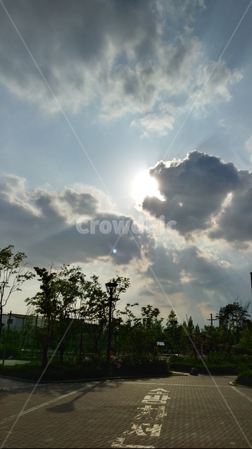 햇빛,구름,풍경,아파트단지내,sunlight
