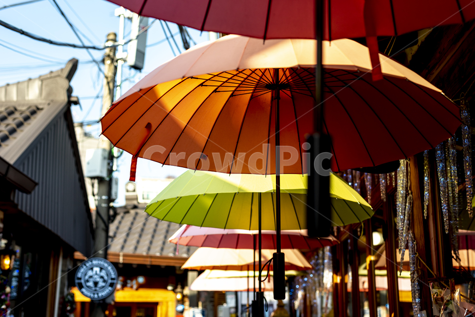 익선동,골목,거리,한옥,상점,umbrella,우산