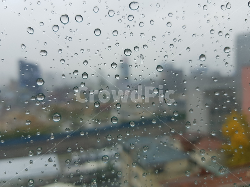 빗방울,유리,창문,작은물방울,raindrop,korea,날씨,자연