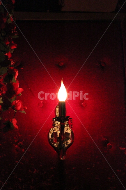 등,조명,lamp,light,초,촛대,장미,분위기,카페