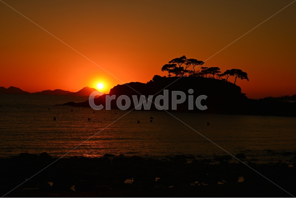 부안,솔섬,솔섬일몰,nature,자연,outdoors,옥외,sunset,일몰,sky,하늘,dusk,황혼,redsky,붉은하늘,새해,new year