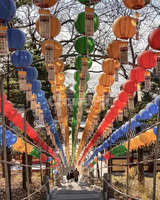 불교,연등,보문사,절,석모도,낙가산,강화도,기도,소원,석가모니,한국,전통,종교