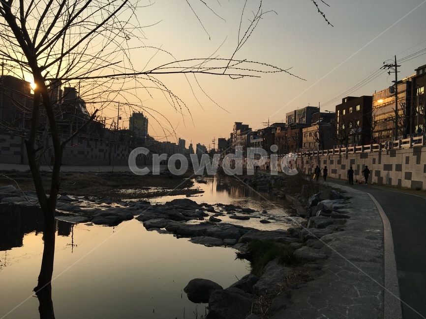 서울,노을,저녁,강,반사,신림,해질녘,도심,도시,강가,석양,여유,산책,나무,물,하늘,나뭇가지,가을,seoul,sunset,evening,reflection,sky,city,light,color,ornage,도림천,도시,풍경,city,landscape,한국도시풍경,한국도시경관,korea cityscape