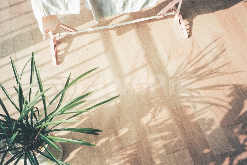 실내,집,따뜻함,분위기,수건,화분,house,home,atmosphere,필름사진,감성,sensible,feeling,휴식,힐링,rest,relaxation,healing,인테리어,실내디자인,interior design