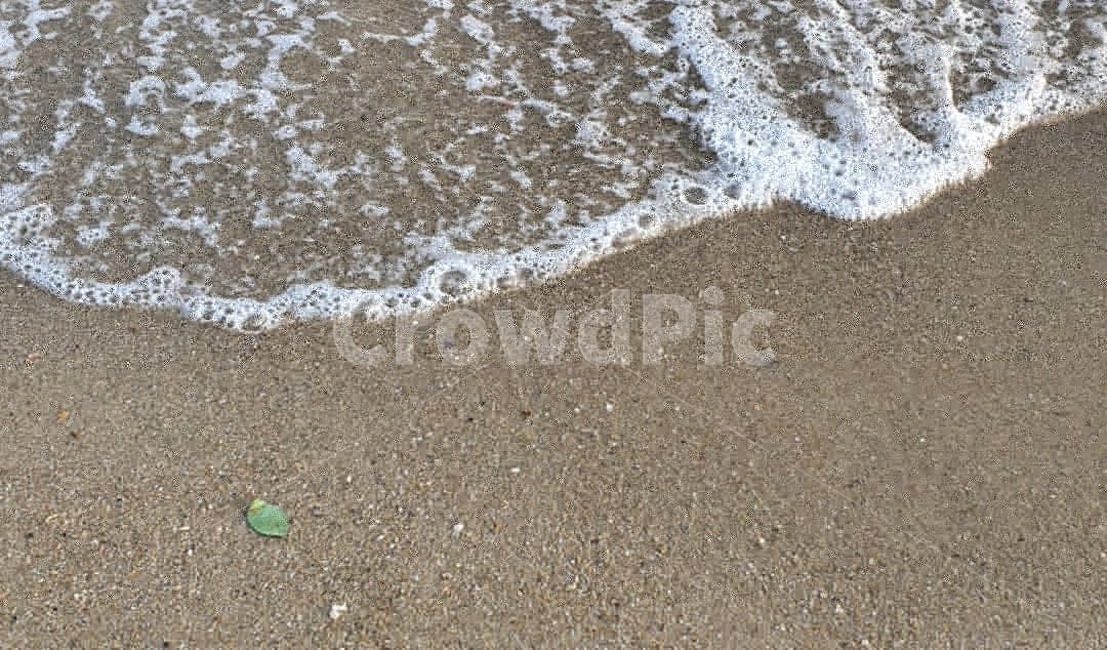 바다,파도,물거품,모래사장,해수욕장