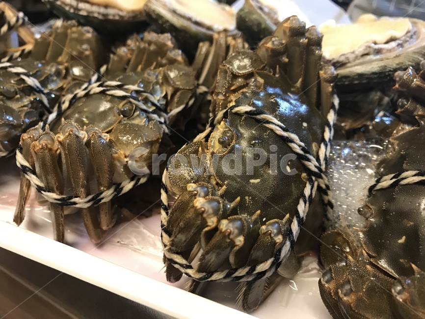 꽃게,해산물,해물,게,수산,음식,요리,재료,자연,갑각류,싱싱한,외국,중국,상하이,상해,세계,shanghai,chinesefood,seafood,fishery,products,음식,식재료,요리,food,cook,meal,dishes,food reserves,수산물,해산물,fishery products,seafood