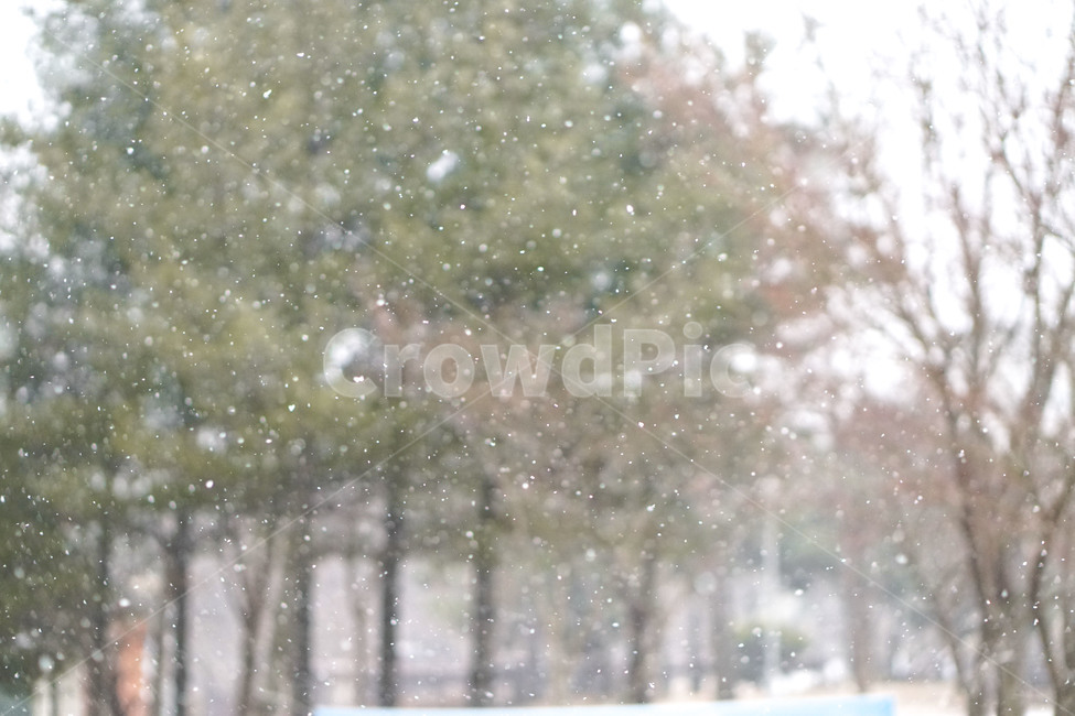 눈,눈오는날,자연,감성,벤치,snow,포근함,겨울,계절,winter,season,자연,풍경,nature,landscape,storm,폭풍,outdoors,옥외,blizzard,눈보라