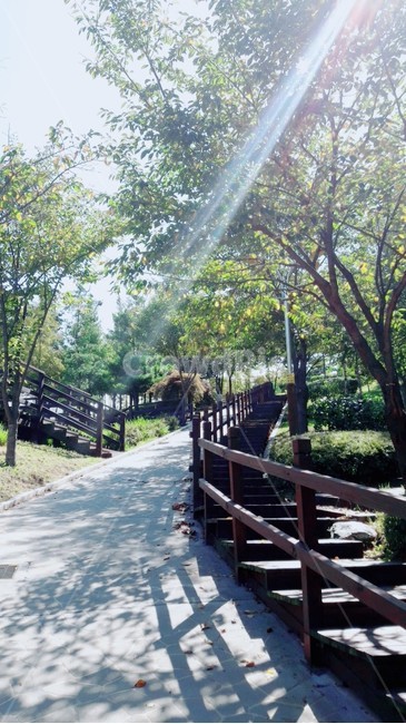 outdoors,옥외,garden,정원,arbour,정자,공원,산책로,볕,햇살,자연,식물,자연,plants,nature,나무,trees,wood