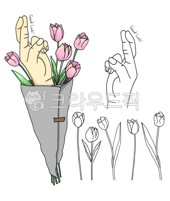 Hand gestures,daffodils,bouquets,goodluck,best hand gestures,hands,illustrations,flower illustrations,tulips,tulip bouquets,tulip illustrations,luck,lucky hand gestures,hand illustrations