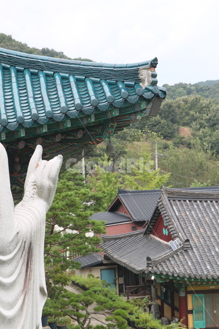 돌부처,손,오른손,사찰,부처,불교