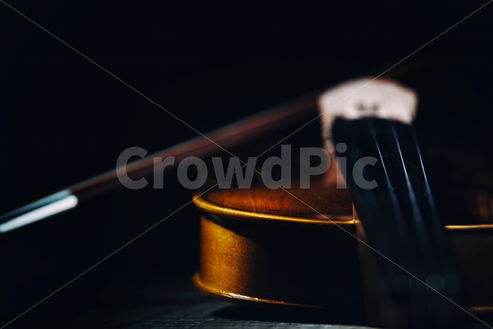 바이올린,음악,학원,레슨,피아노,방과후,연주,공연,콘서트,밴드,취미,사회인,악기,뮤직,페스티발,실내악,현악기,교육,음악학원,콩쿨,대회,합주,예술,art,사물,물건,오브젝트,thing,object,matter,악기,음향기기,musical instrument,musical equipment