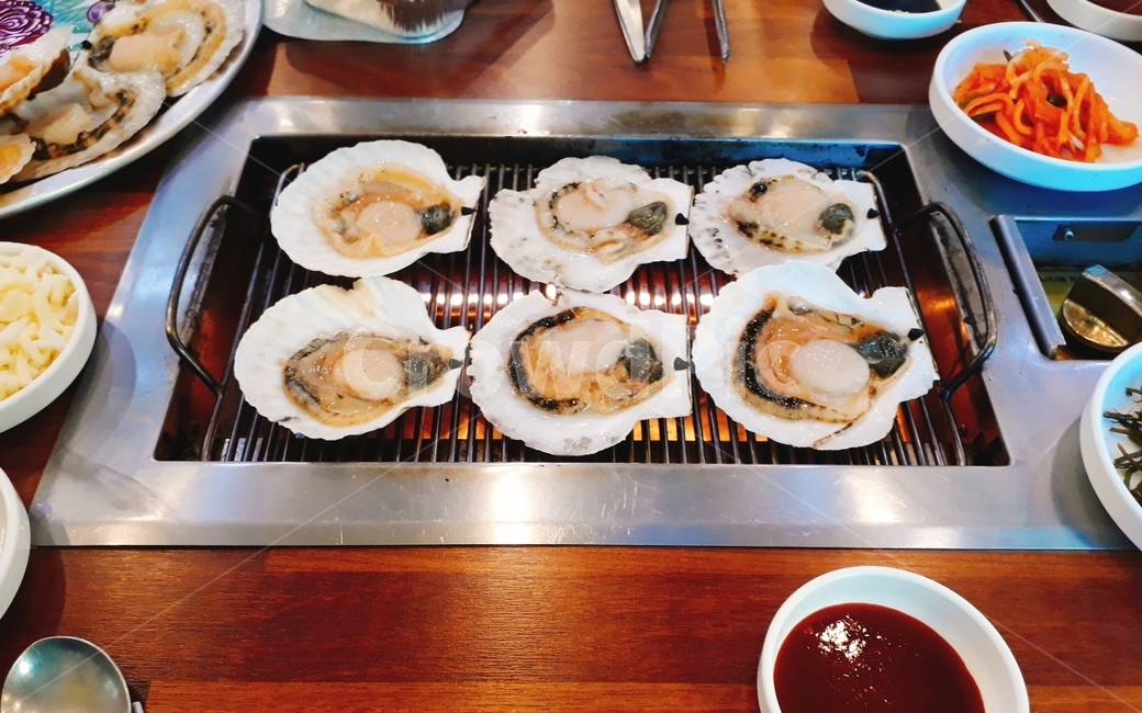 가리비,음식,해산물,scallops,food