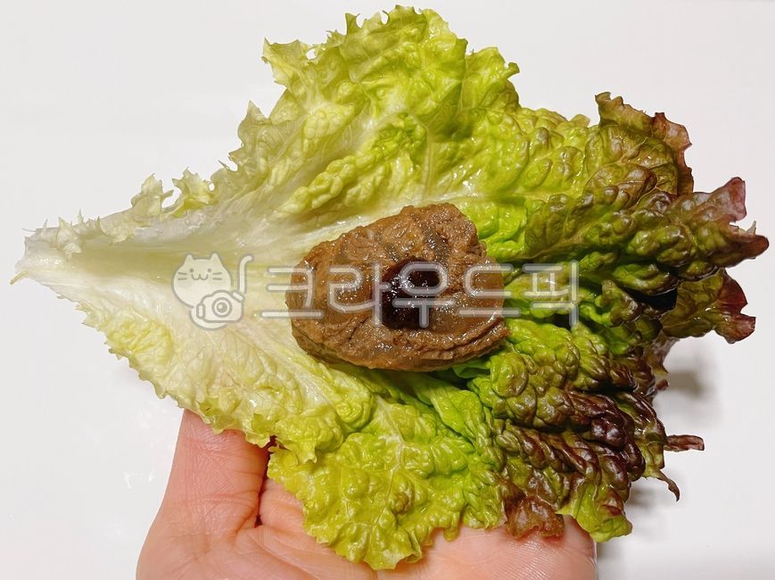 Ssam vegetables,beef,cow,Meat wrap,wrapping,chili pepper paste,vegetable,lettuce,food,meal,Lettuce,Arongsae Seasoned Steamed Rice,meat,Arongsaejjim,Steamed,A long incident